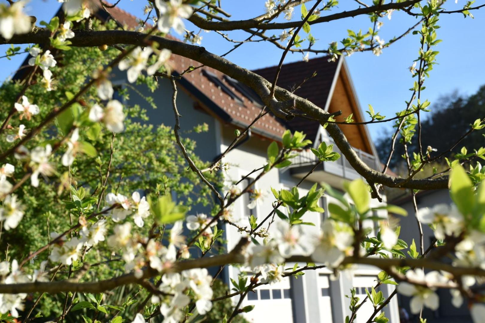 Ferienhaus Am Hof Zotter ريغرسبورغ المظهر الخارجي الصورة